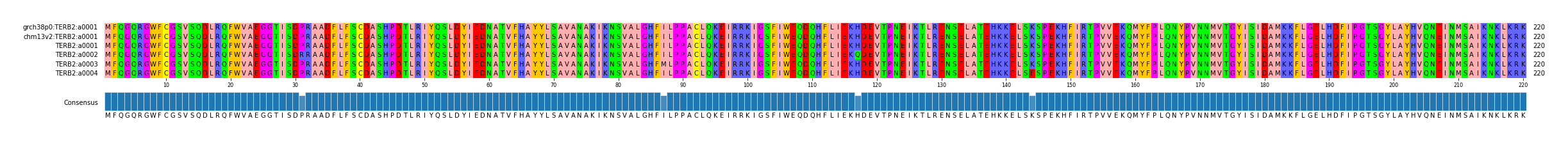 Multiple Alignments (by translate haplotype frequency)