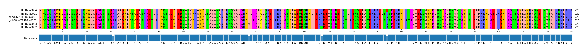 Multiple Alignments (by translate haplotype similarity)