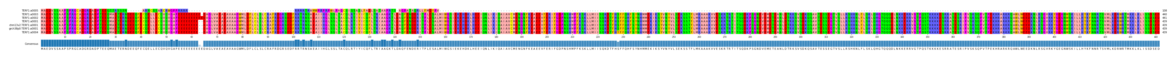 Multiple Alignments (by translate haplotype similarity)