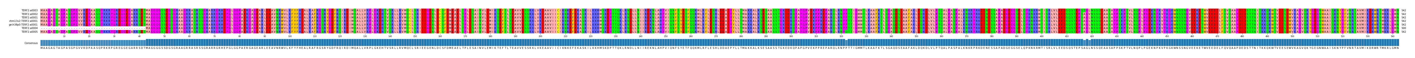 Multiple Alignments (by translate haplotype similarity)
