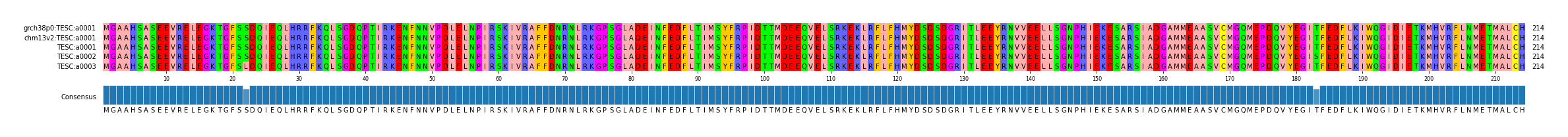Multiple Alignments (by translate haplotype frequency)