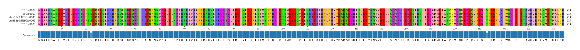 Multiple Alignments (by translate haplotype similarity)