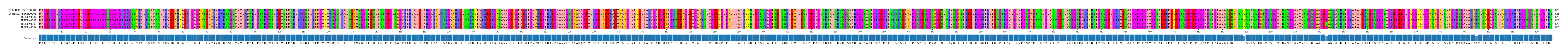Multiple Alignments (by translate haplotype frequency)