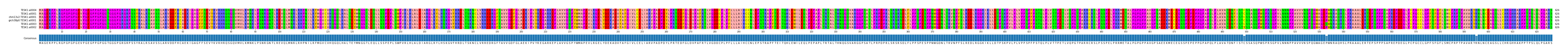 Multiple Alignments (by translate haplotype similarity)