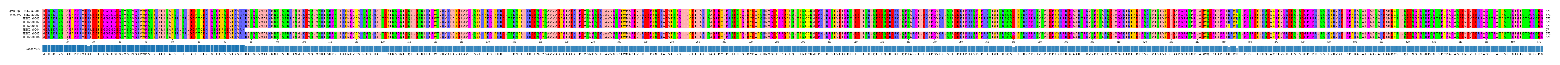 Multiple Alignments (by translate haplotype frequency)