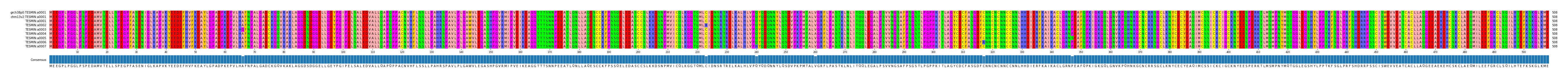 Multiple Alignments (by translate haplotype frequency)