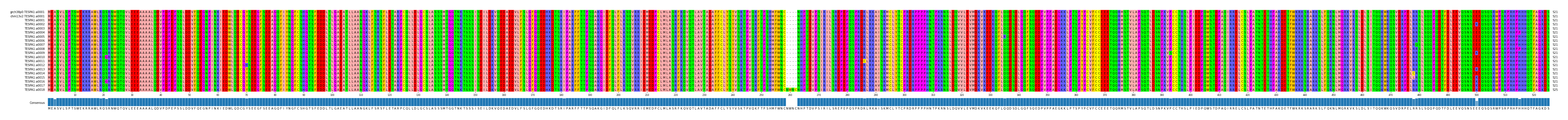 Multiple Alignments (by translate haplotype frequency)
