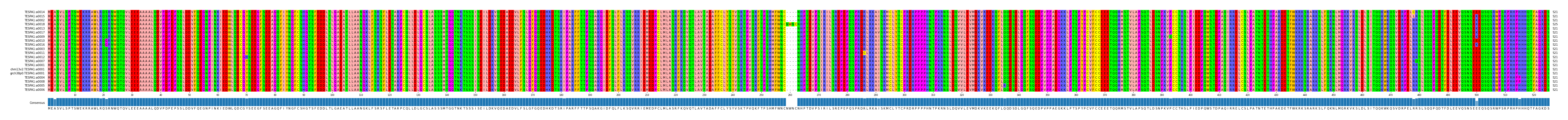 Multiple Alignments (by translate haplotype similarity)