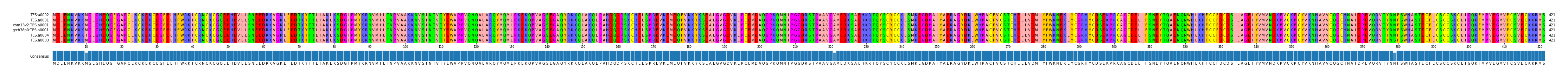 Multiple Alignments (by translate haplotype similarity)
