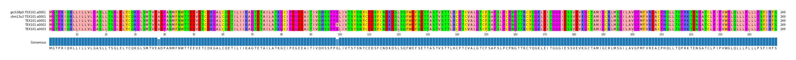 Multiple Alignments (by translate haplotype frequency)