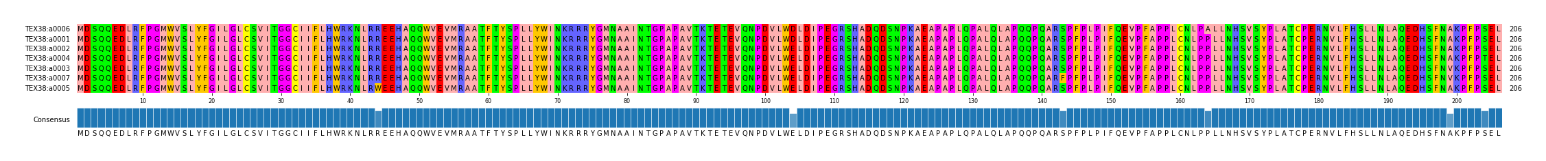 Multiple Alignments (by translate haplotype similarity)