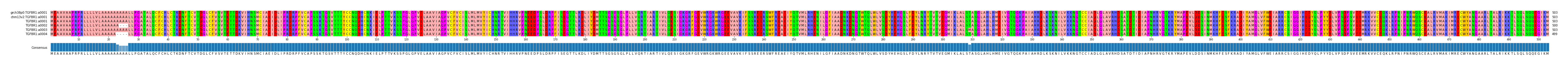 Multiple Alignments (by translate haplotype frequency)