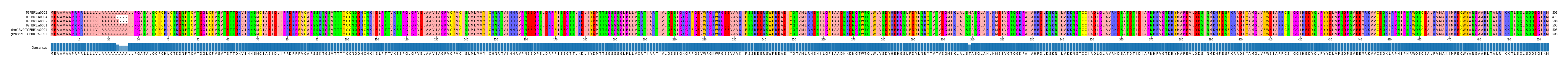 Multiple Alignments (by translate haplotype similarity)