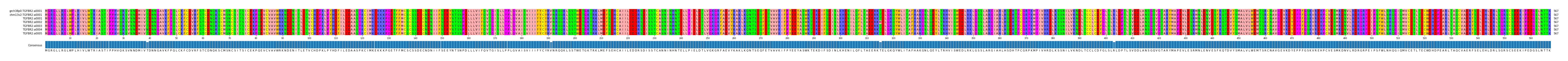 Multiple Alignments (by translate haplotype frequency)