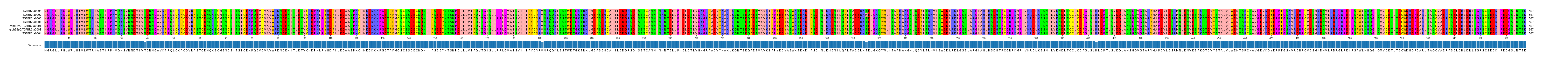 Multiple Alignments (by translate haplotype similarity)