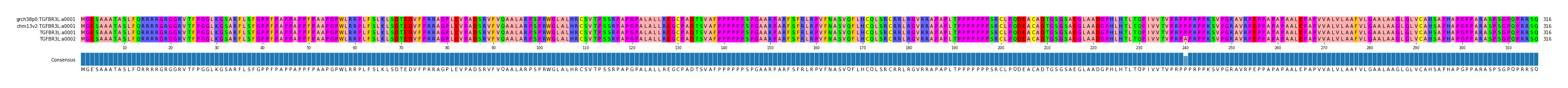 Multiple Alignments (by translate haplotype similarity)