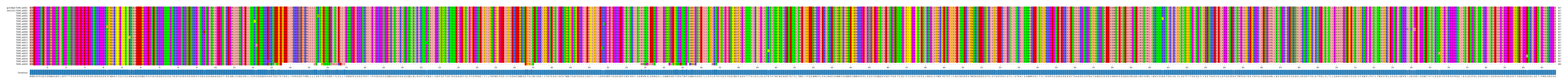 Multiple Alignments (by translate haplotype frequency)