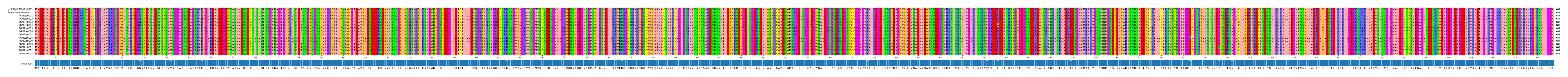 Multiple Alignments (by translate haplotype frequency)