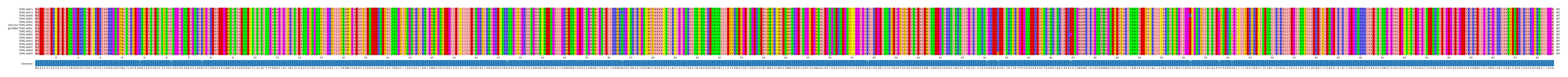 Multiple Alignments (by translate haplotype similarity)