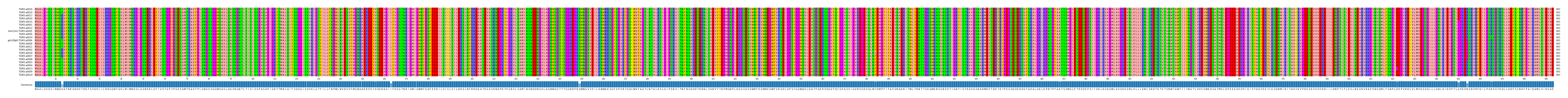 Multiple Alignments (by translate haplotype similarity)