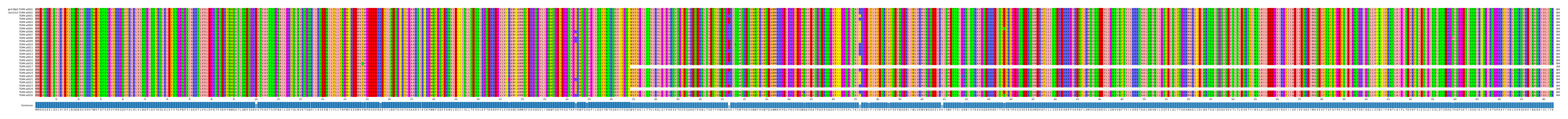 Multiple Alignments (by translate haplotype frequency)