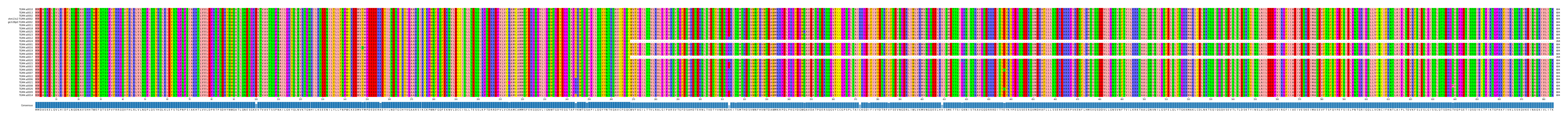 Multiple Alignments (by translate haplotype similarity)