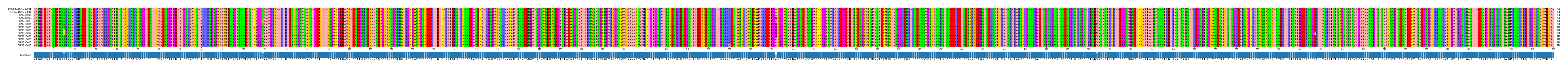 Multiple Alignments (by translate haplotype frequency)