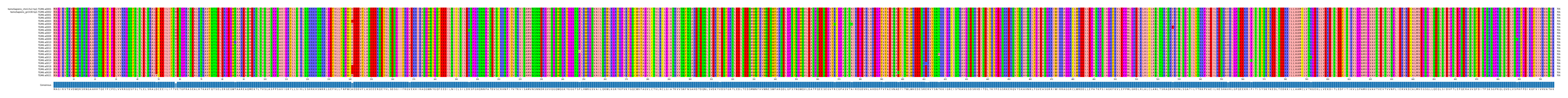 Multiple Alignments (by translate haplotype frequency)