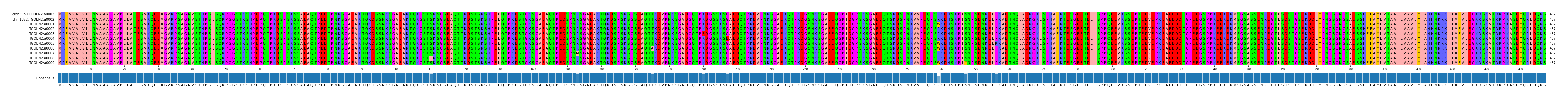 Multiple Alignments (by translate haplotype frequency)
