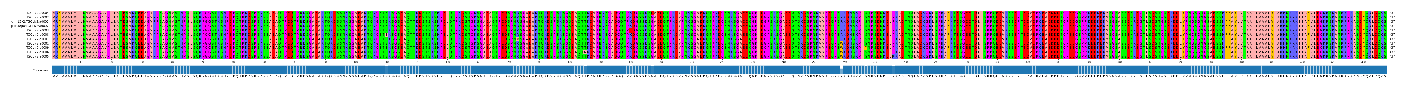 Multiple Alignments (by translate haplotype similarity)