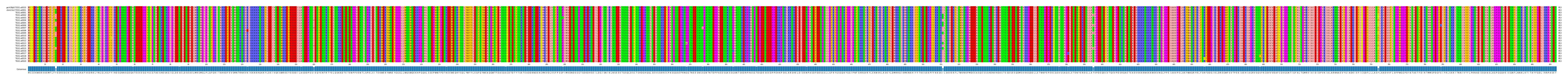 Multiple Alignments (by translate haplotype frequency)