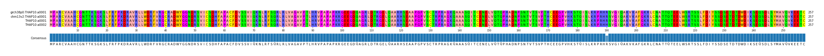 Multiple Alignments (by translate haplotype similarity)