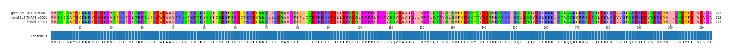Multiple Alignments (by translate haplotype similarity)
