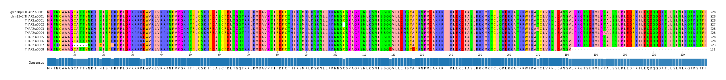 Multiple Alignments (by translate haplotype frequency)