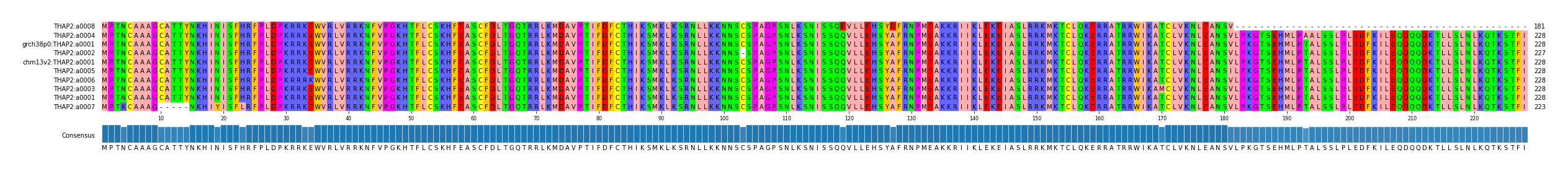 Multiple Alignments (by translate haplotype similarity)