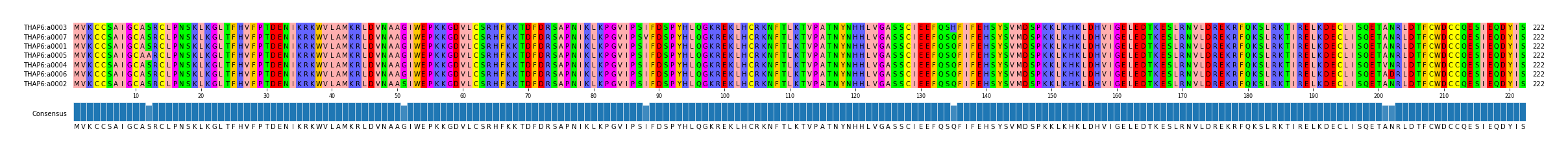 Multiple Alignments (by translate haplotype similarity)