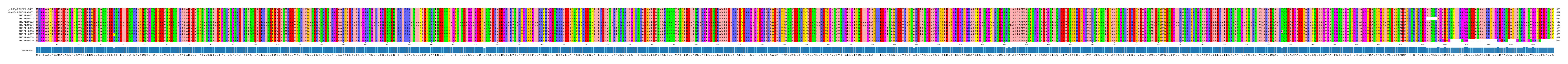 Multiple Alignments (by translate haplotype frequency)