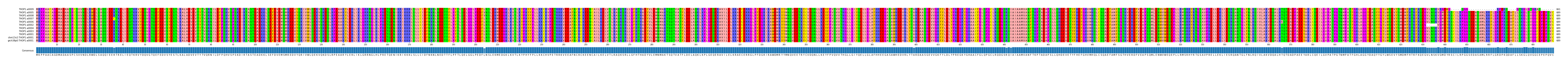 Multiple Alignments (by translate haplotype similarity)