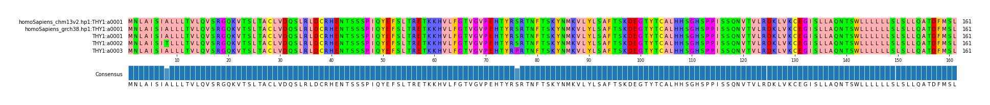 Multiple Alignments (by translate haplotype frequency)