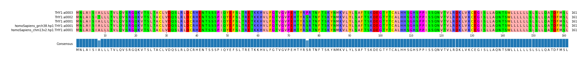 Multiple Alignments (by translate haplotype similarity)