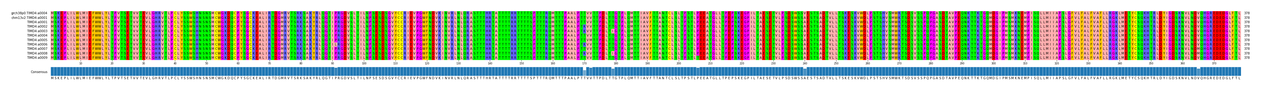Multiple Alignments (by translate haplotype frequency)