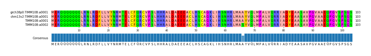 Multiple Alignments (by translate haplotype similarity)