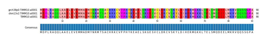 Multiple Alignments (by translate haplotype similarity)
