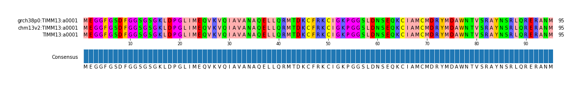Multiple Alignments (by translate haplotype similarity)