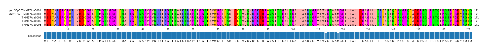 Multiple Alignments (by translate haplotype frequency)