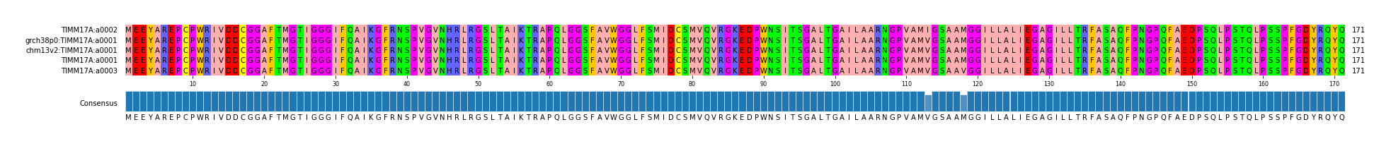 Multiple Alignments (by translate haplotype similarity)