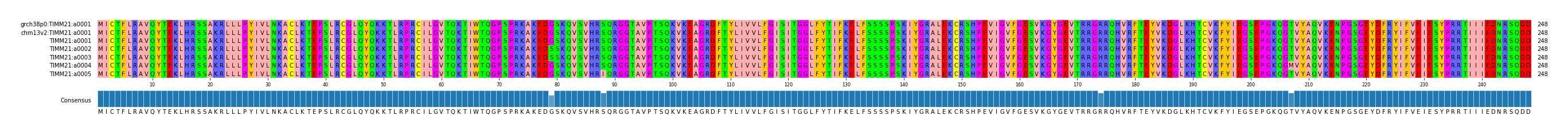 Multiple Alignments (by translate haplotype frequency)