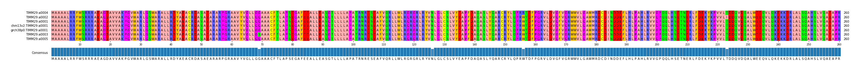 Multiple Alignments (by translate haplotype similarity)