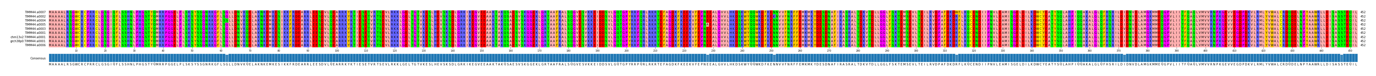 Multiple Alignments (by translate haplotype similarity)