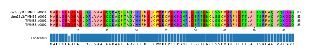 Multiple Alignments (by translate haplotype similarity)